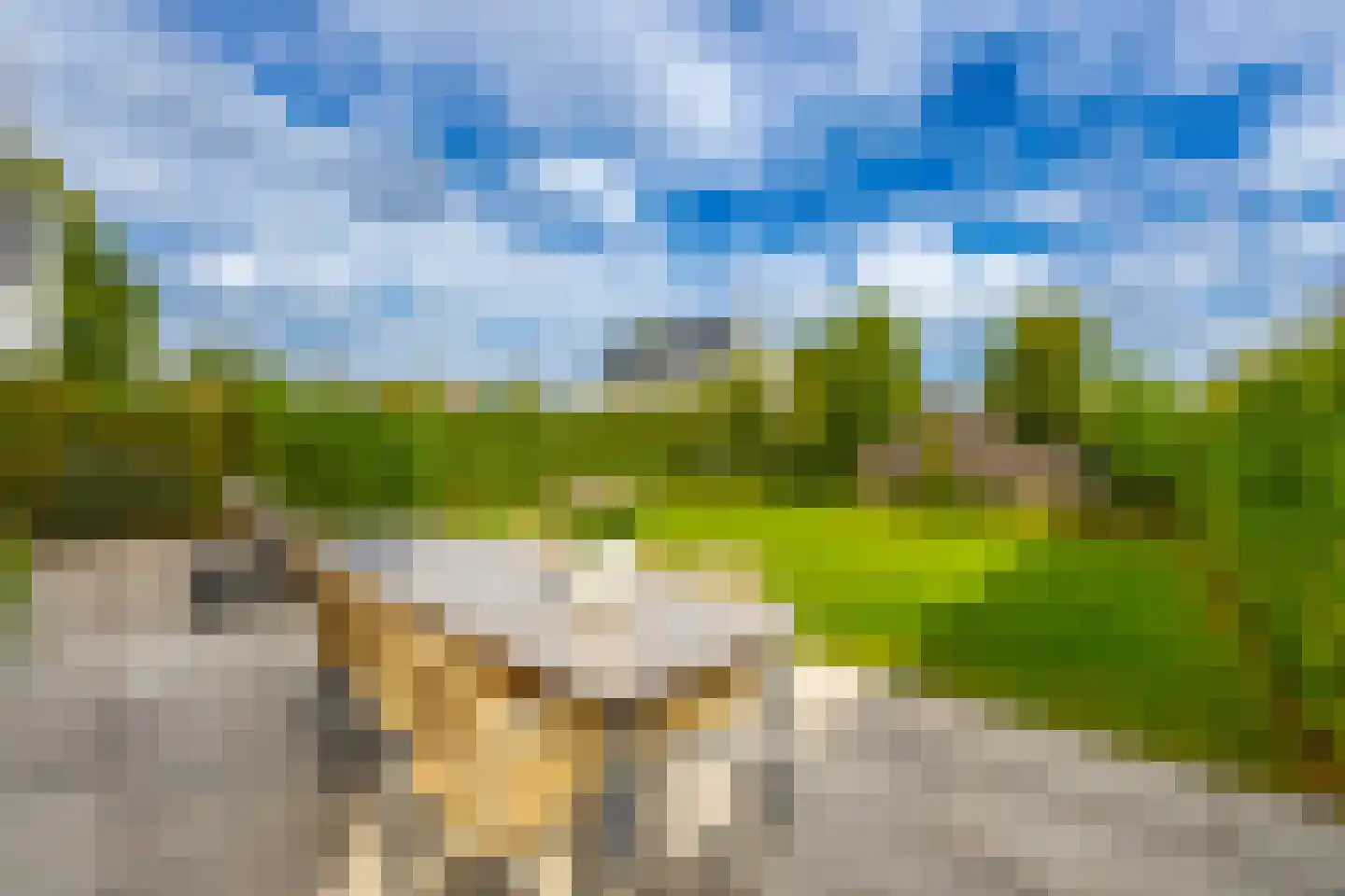J.H.Burgerlaan 26 's-Graveland thumbnail 21