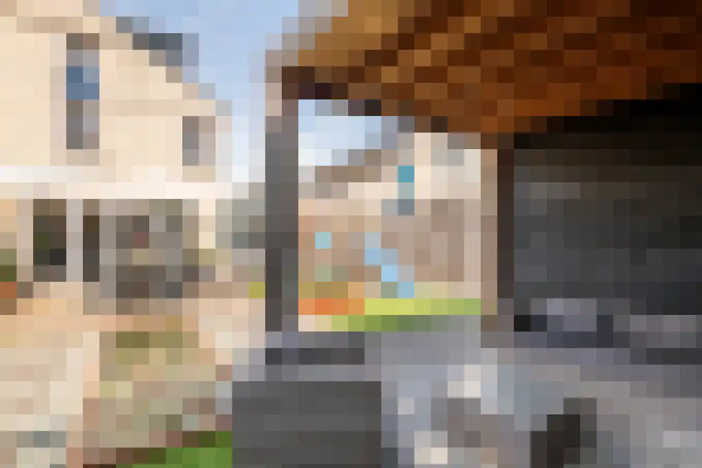 J.H. Cieraadstraat 11 Tiel thumbnail 11