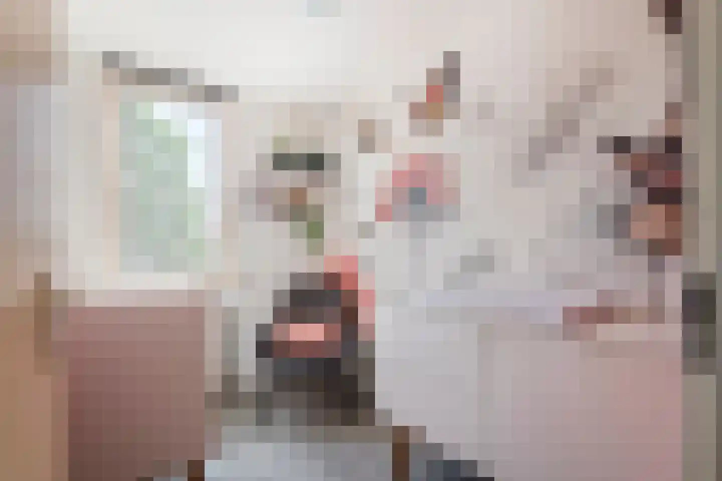 J.H. Cieraadstraat 11 Tiel thumbnail 42