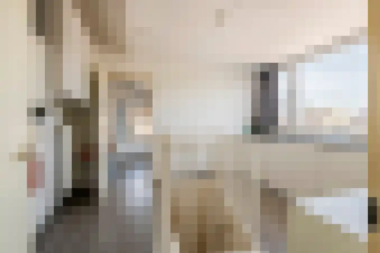 J.H. Cieraadstraat 11 Tiel thumbnail 51