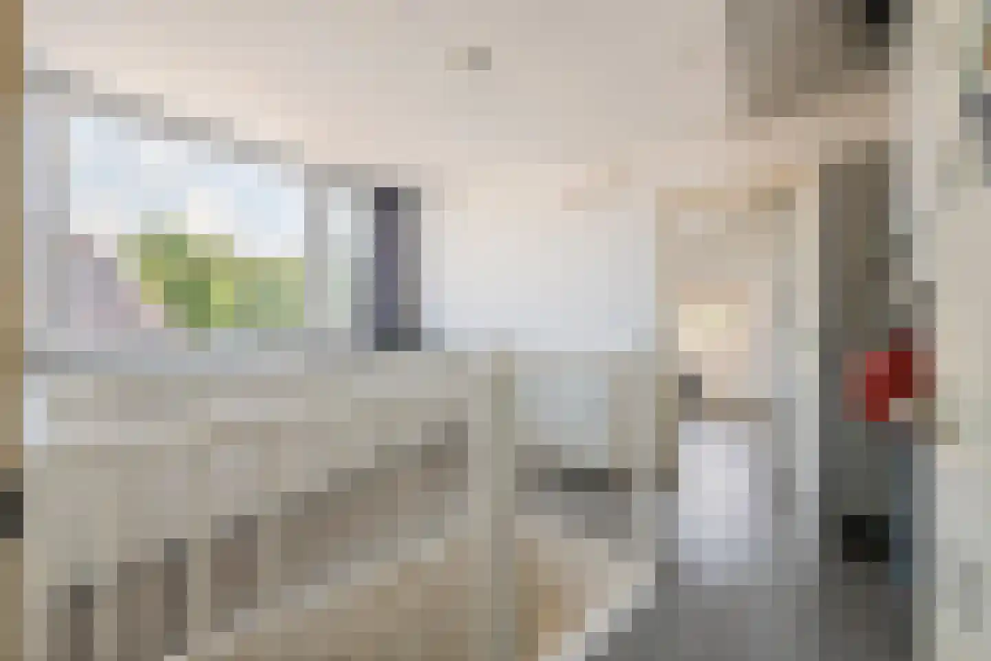 J.H. Cieraadstraat 11 Tiel thumbnail 52