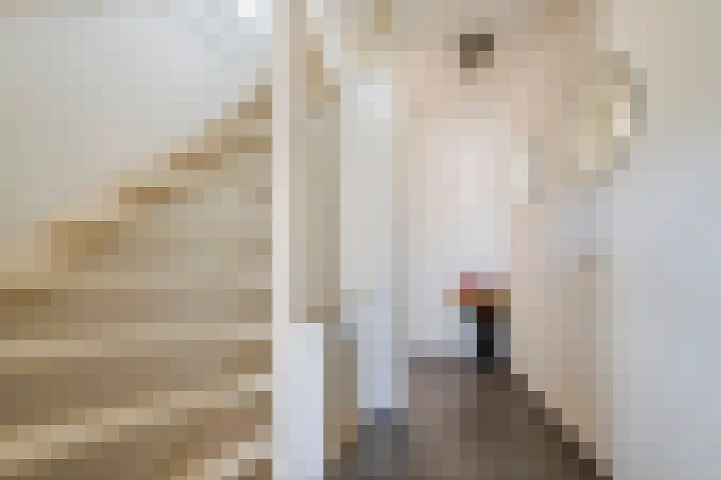 J.H. Cieraadstraat 11 Tiel thumbnail 53