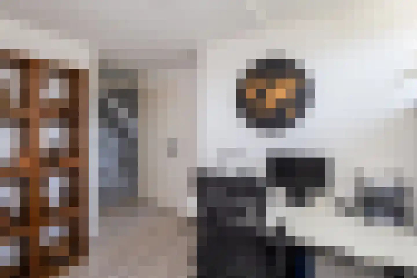 J.H. Derksenstraat 33 Meteren thumbnail 31
