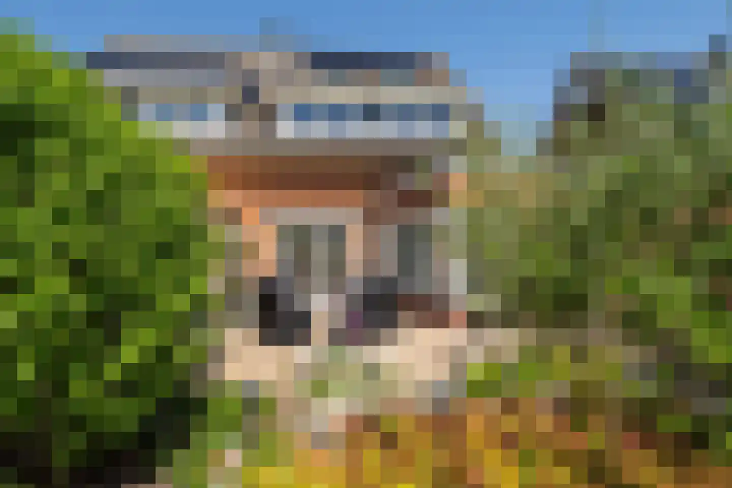J.H. Derksenstraat 33 Meteren thumbnail 4