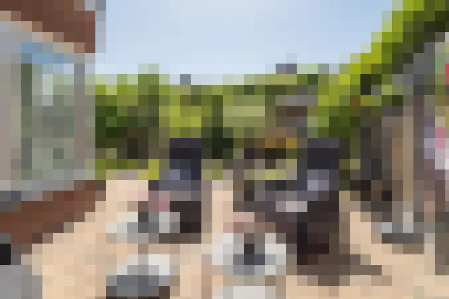 J.H. Derksenstraat 33 Meteren thumbnail 42