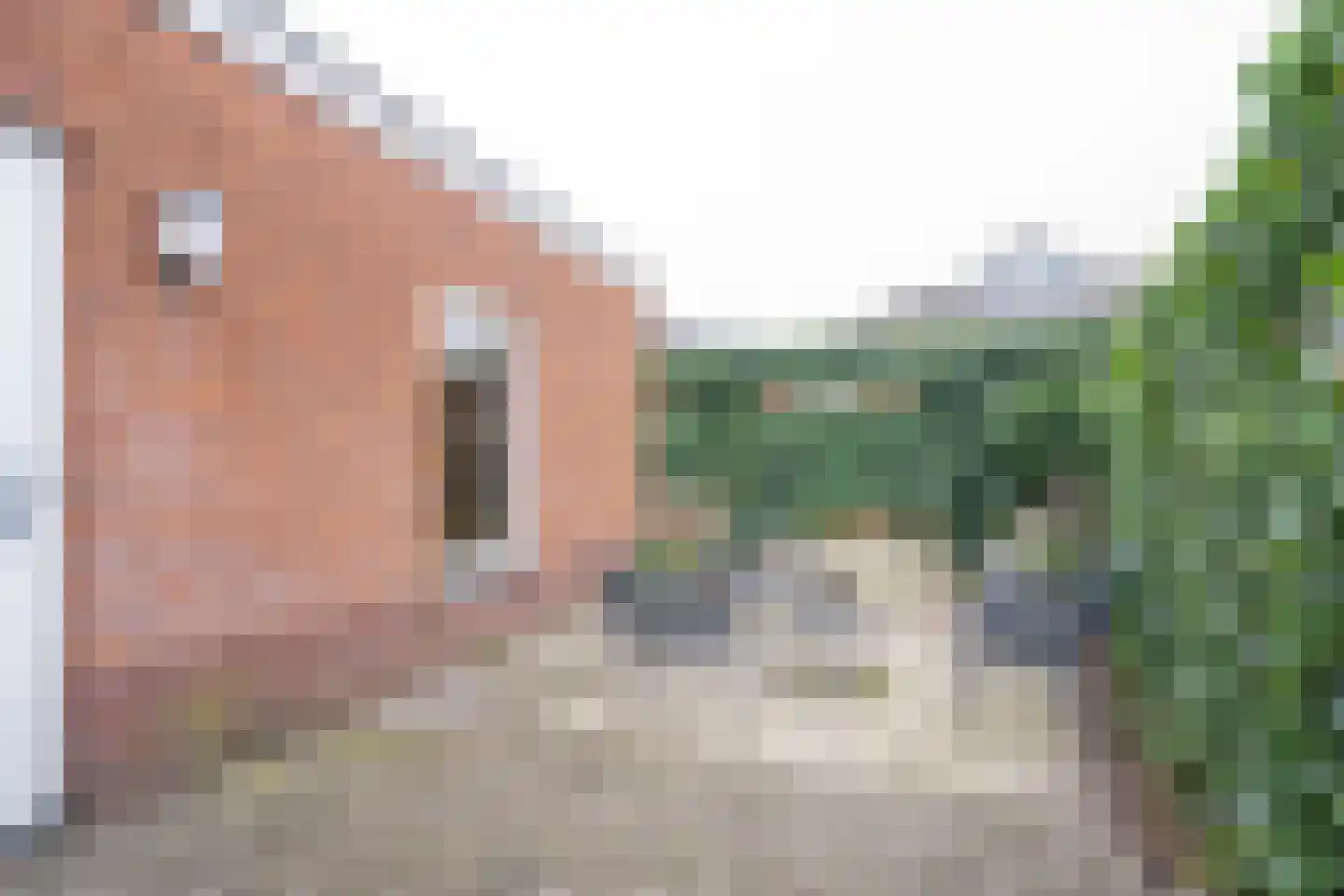 J.H. Derksenstraat 41 Meteren thumbnail 28