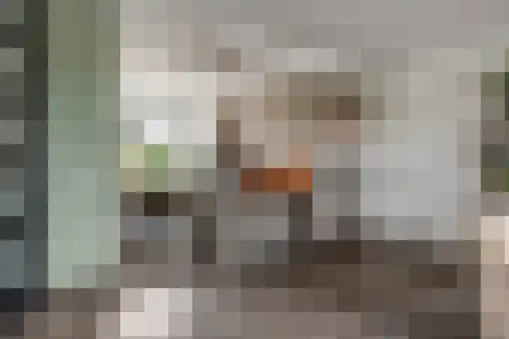 J.H. Derksenstraat 6 Meteren thumbnail 10