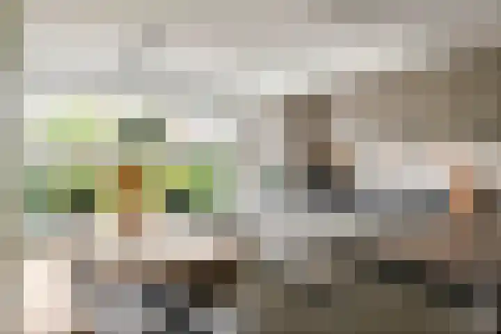 J.H. Derksenstraat 6 Meteren thumbnail 11