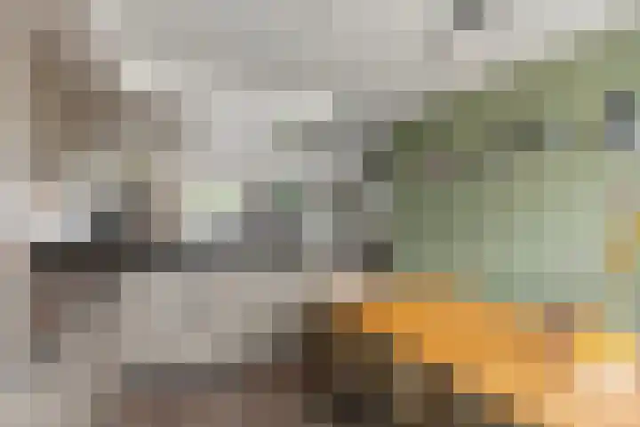 J.H. Derksenstraat 6 Meteren thumbnail 12
