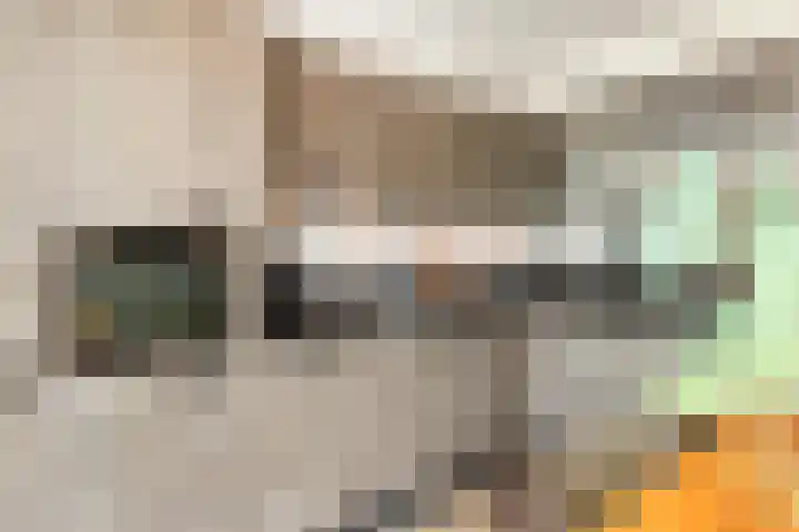 J.H. Derksenstraat 6 Meteren thumbnail 13