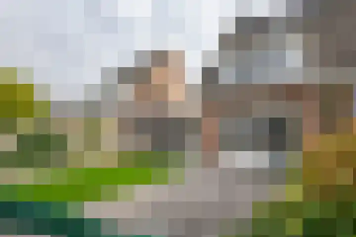 J.H. Derksenstraat 6 Meteren thumbnail 35