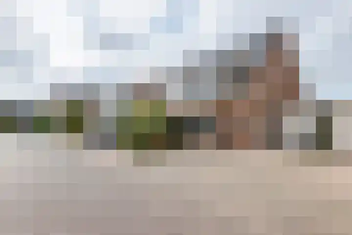 J.H. Derksenstraat 6 Meteren thumbnail 36