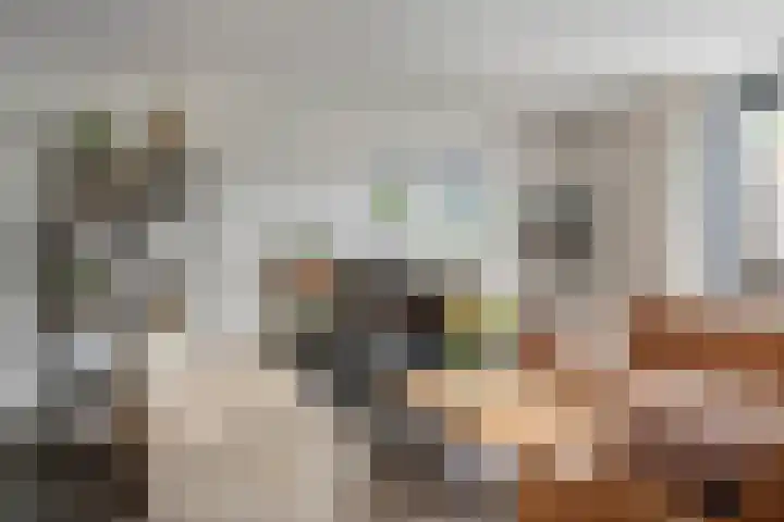 J.H. Derksenstraat 6 Meteren thumbnail 7