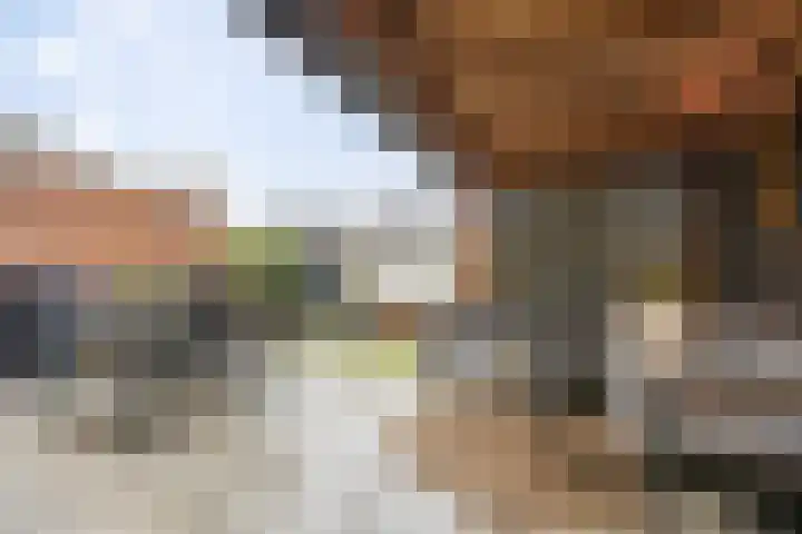 J.H. Egenbergerstraat 1 Groningen thumbnail 6