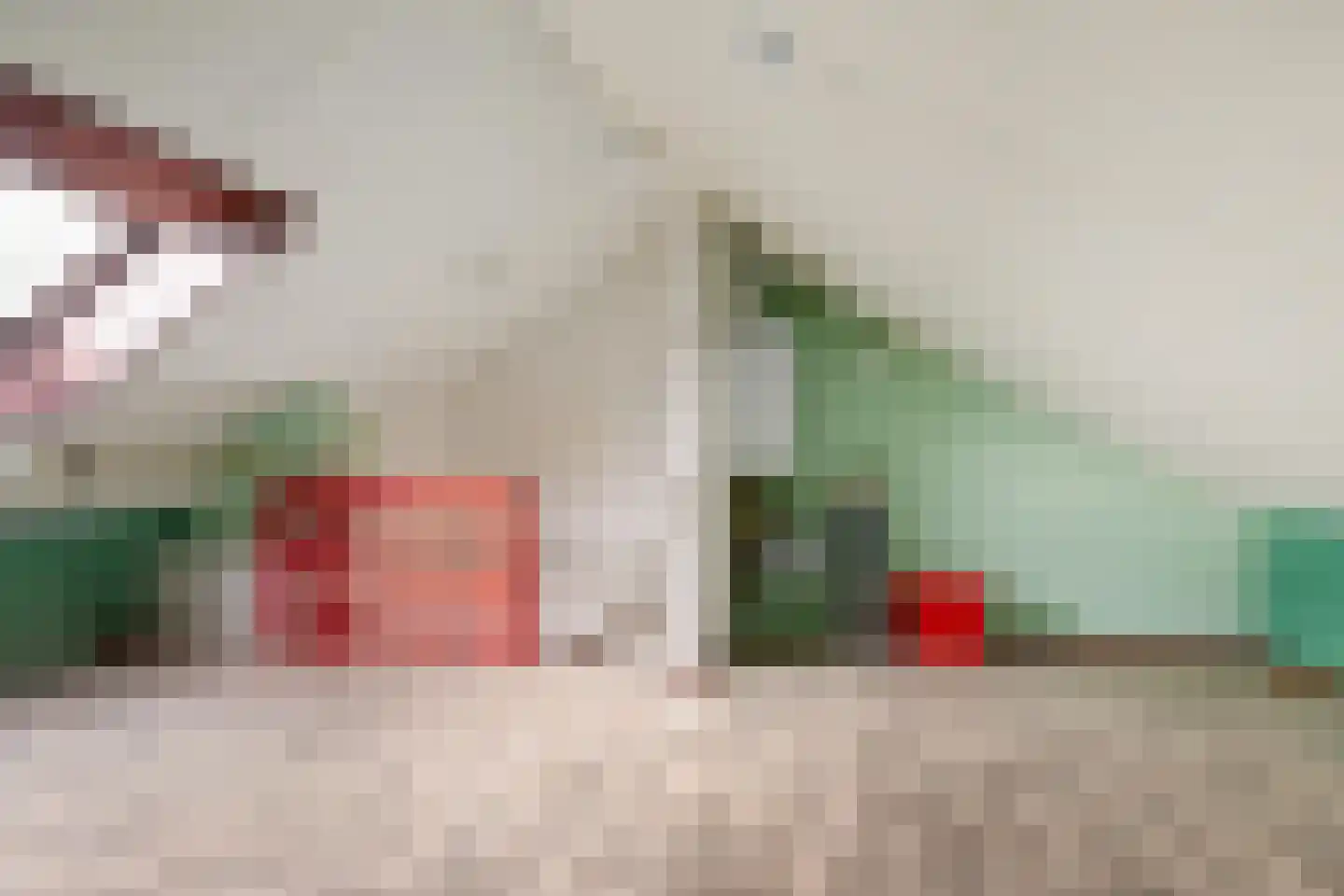 J.H. Egenbergerstraat 11 Groningen thumbnail 37