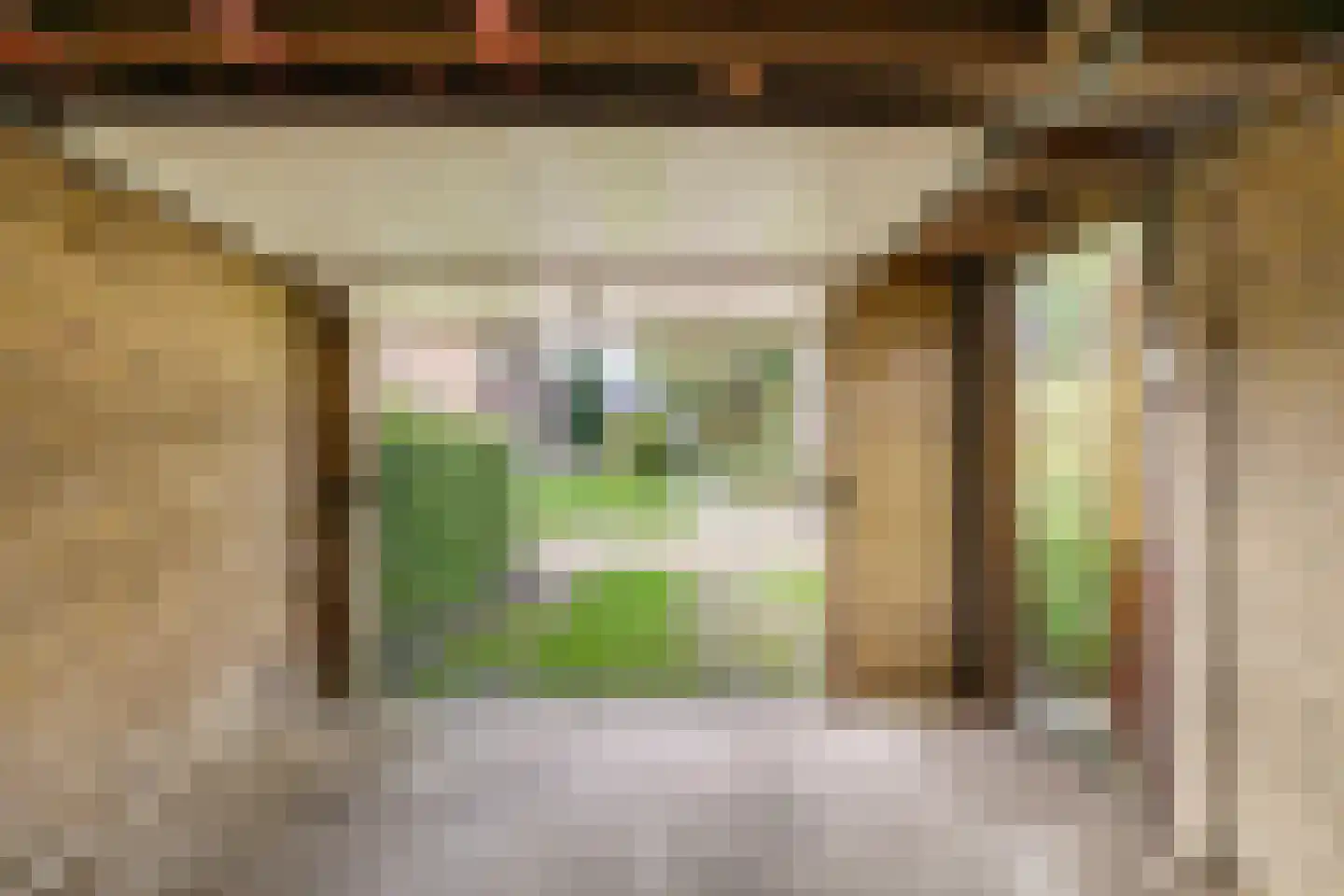 J.H. Egenbergerstraat 11 Groningen thumbnail 41