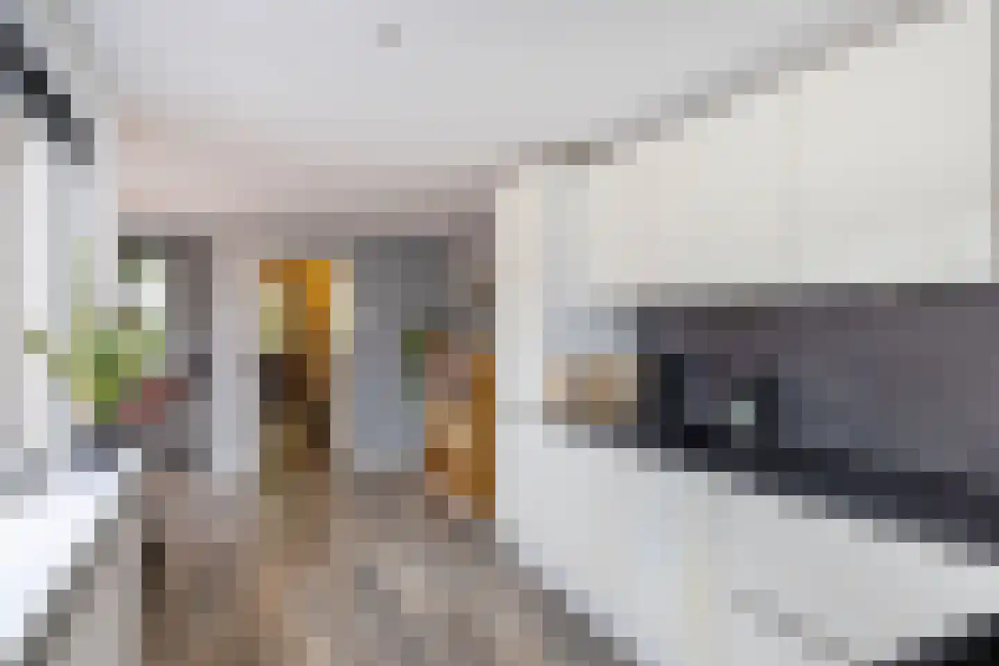 J.H. Egenbergerstraat 7 Groningen thumbnail 11