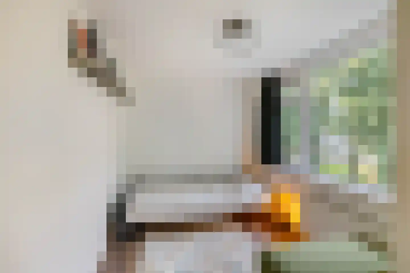 J.H. Egenbergerstraat 7 Groningen thumbnail 22