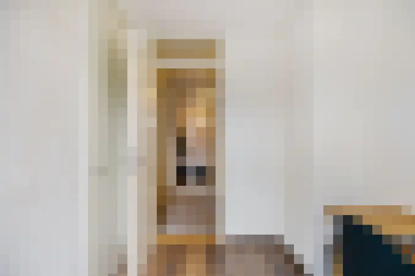 J.H. Egenbergerstraat 7 Groningen thumbnail 31