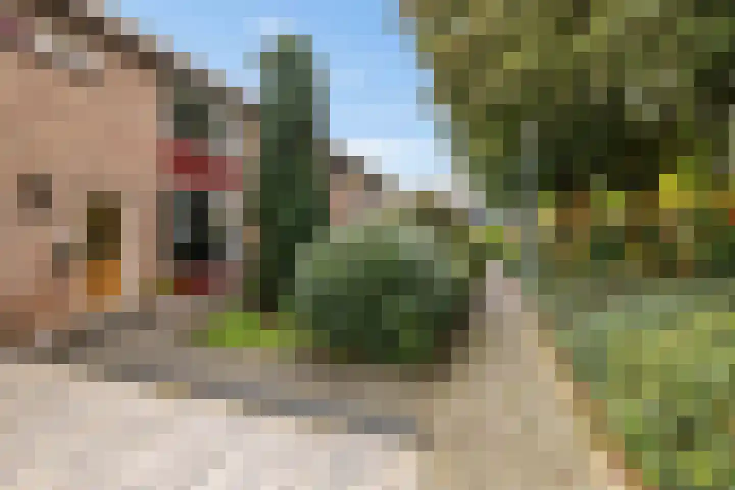 J.H. Egenbergerstraat 7 Groningen thumbnail 37