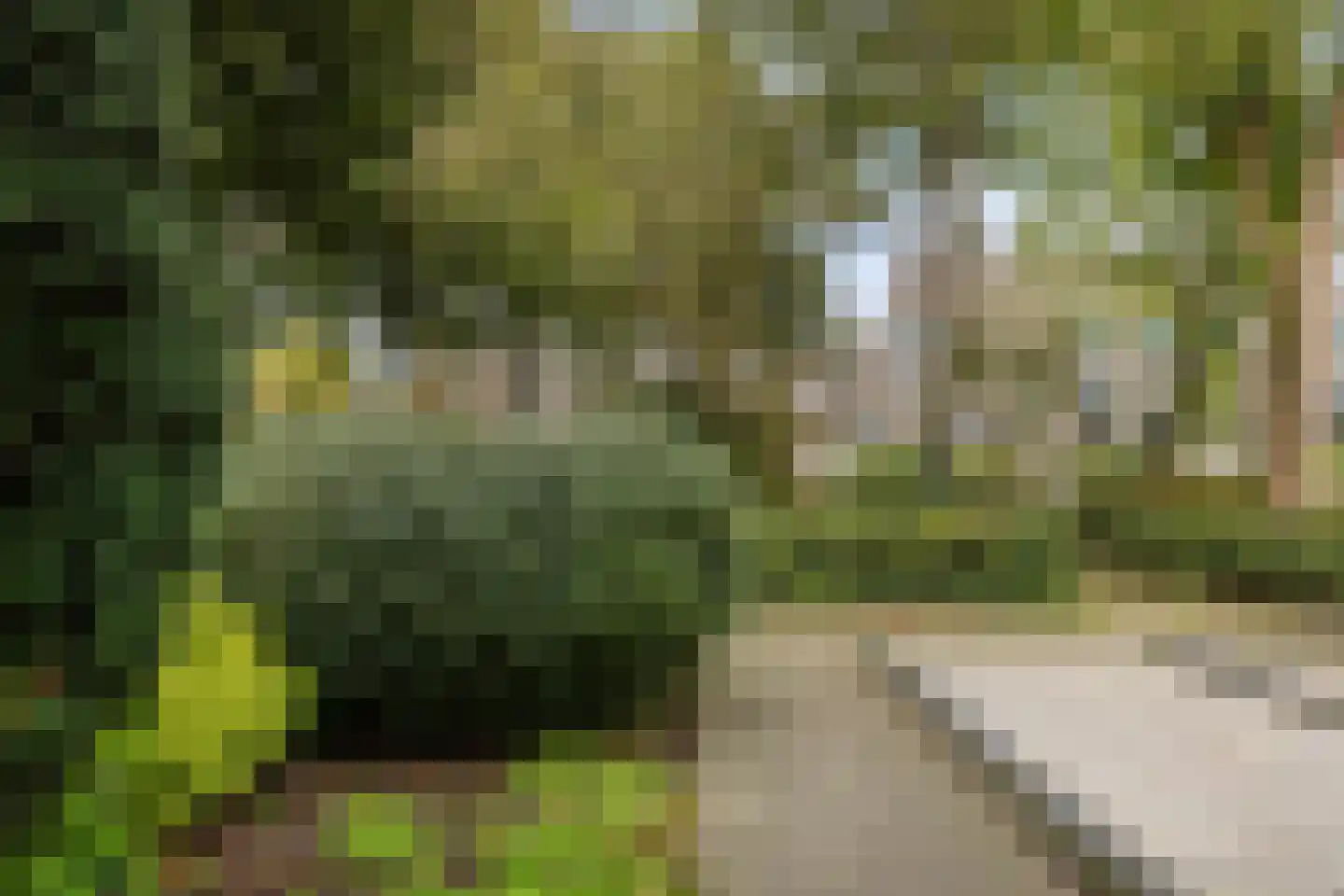 J.H. Egenbergerstraat 7 Groningen thumbnail 38
