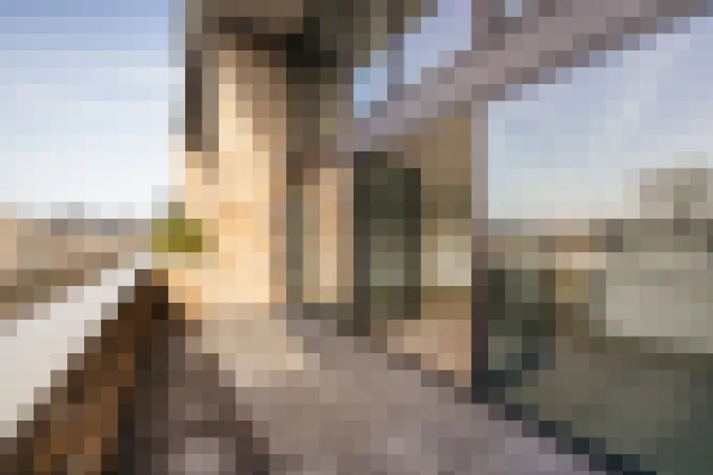J.H. Hisgenpad 1022 Amsterdam thumbnail 17