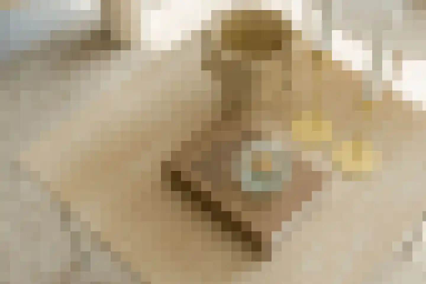 J.H. Hisgenpad 1034 Amsterdam thumbnail 11