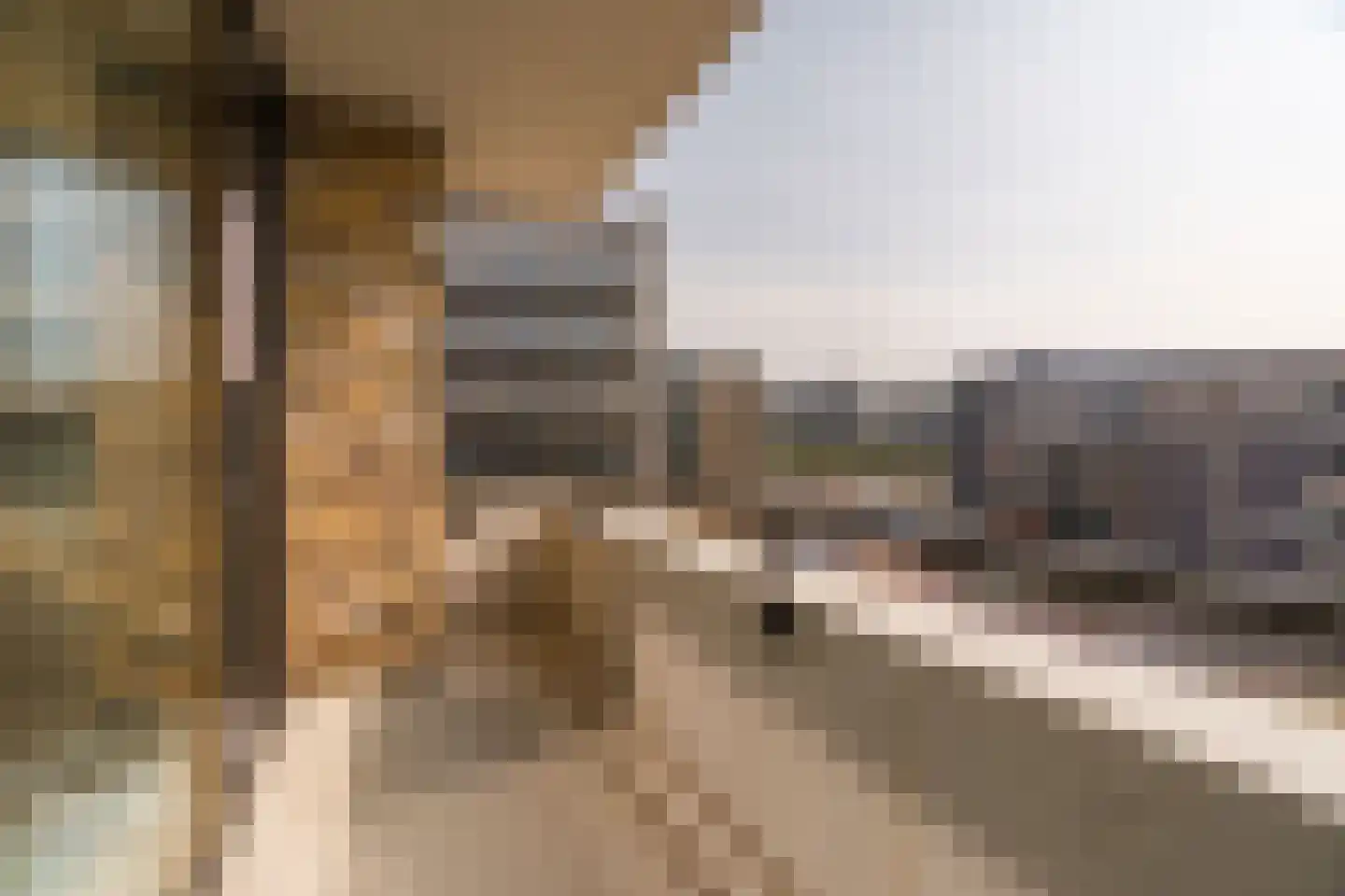 J.H. Hisgenpad 1034 Amsterdam thumbnail 16