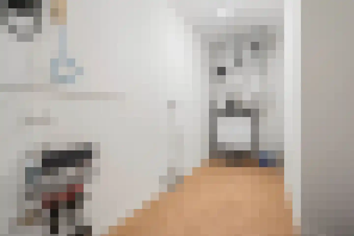 J.H. Hisgenpad 1048 Amsterdam thumbnail 17