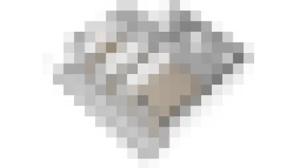 J.H. Hisgenpad 1076 Amsterdam thumbnail 25