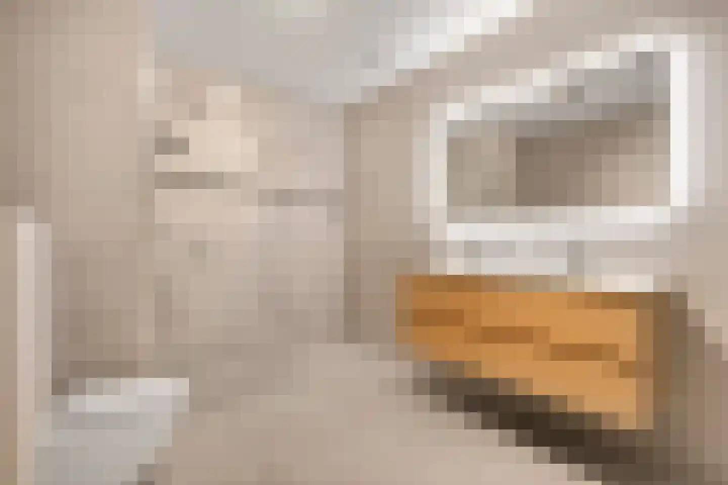 J.H. Hisgenpad 1078 Amsterdam thumbnail 29