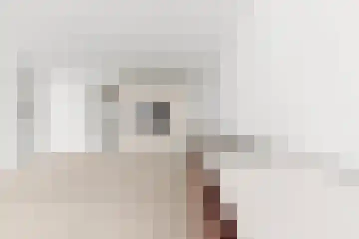 J.H. Hisgenpad 1084 Amsterdam thumbnail 10