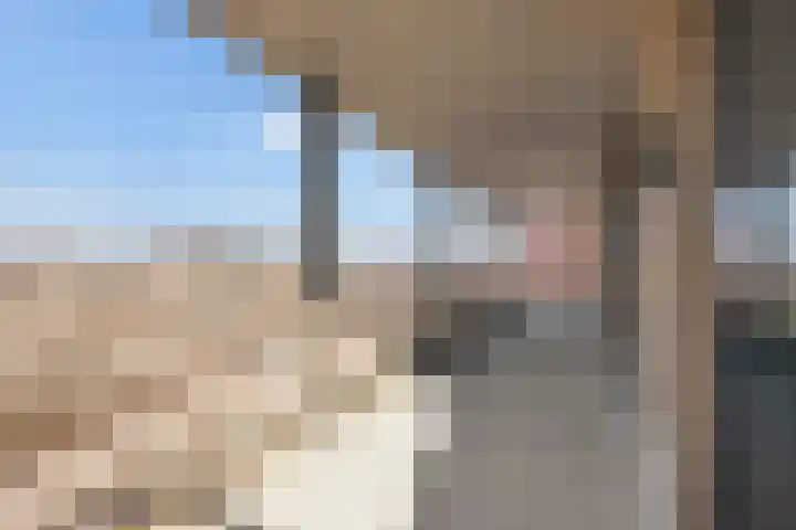J.H. Hisgenpad 1084 Amsterdam thumbnail 31