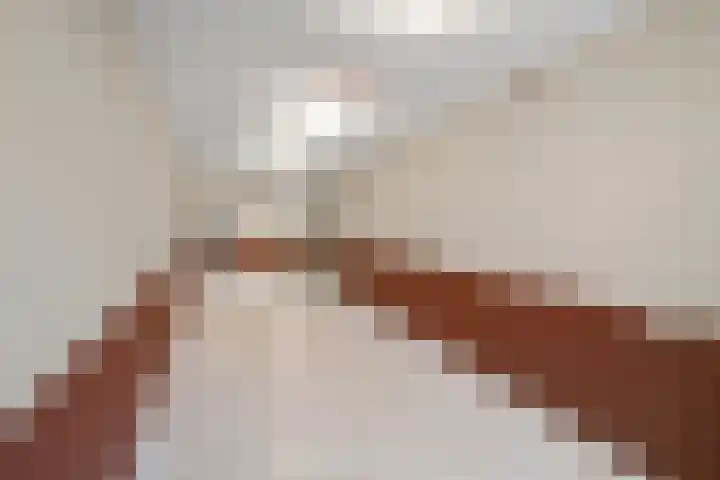 J.H. Hisgenpad 1092 Amsterdam thumbnail 38