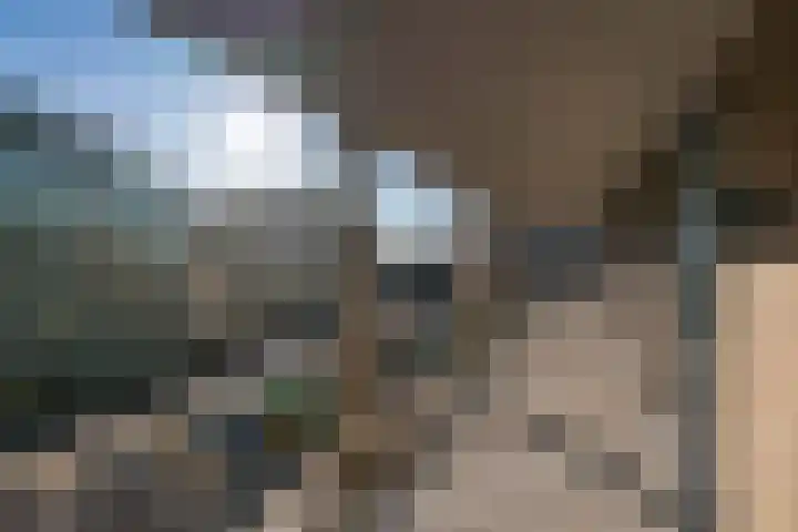 J.H. Hisgenpad 1092 Amsterdam thumbnail 45