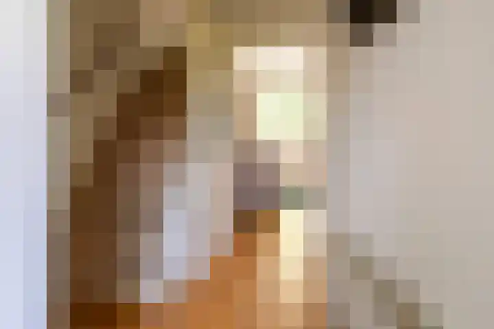 J.H. Isingserf 2 Soest thumbnail 12
