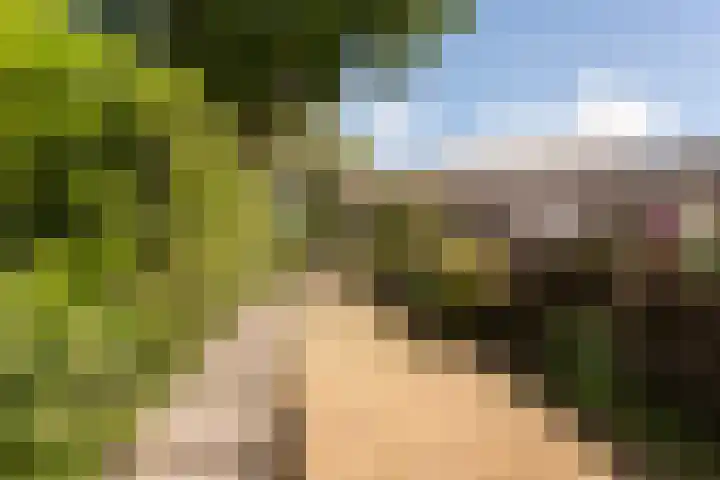 J.H. Isingserf 2 Soest thumbnail 22