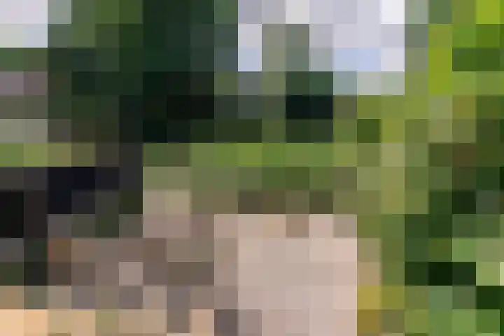 J.H. Isingserf 2 Soest thumbnail 23