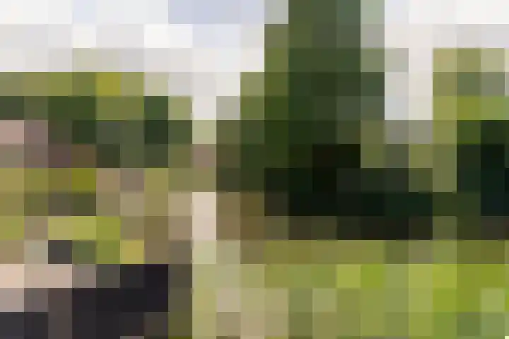 J.H. Isingserf 2 Soest thumbnail 24