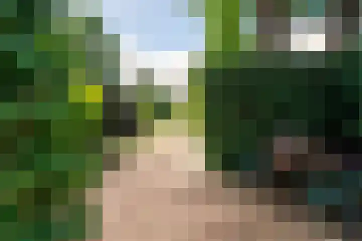 J.H. Isingserf 2 Soest thumbnail 25