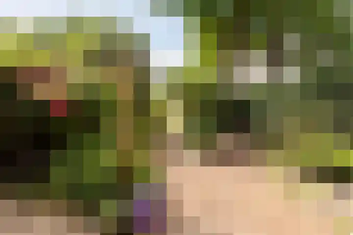 J.H. Isingserf 2 Soest thumbnail 26
