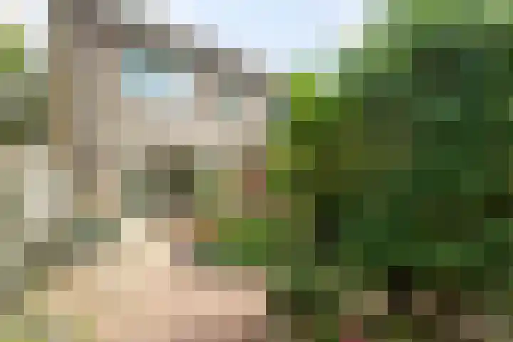 J.H. Isingserf 2 Soest thumbnail 28