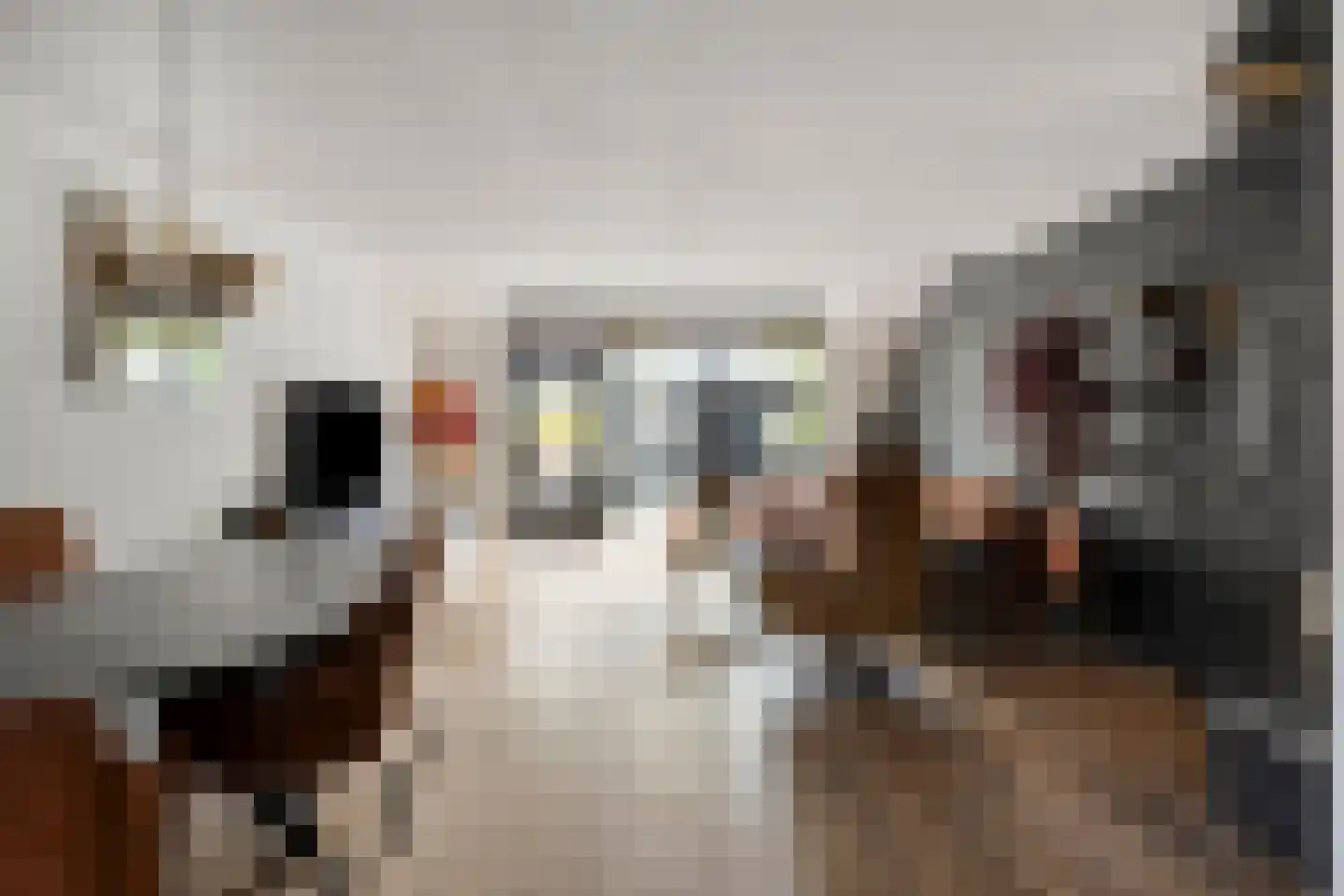 J.H. Isingserf 43 Soest thumbnail 15