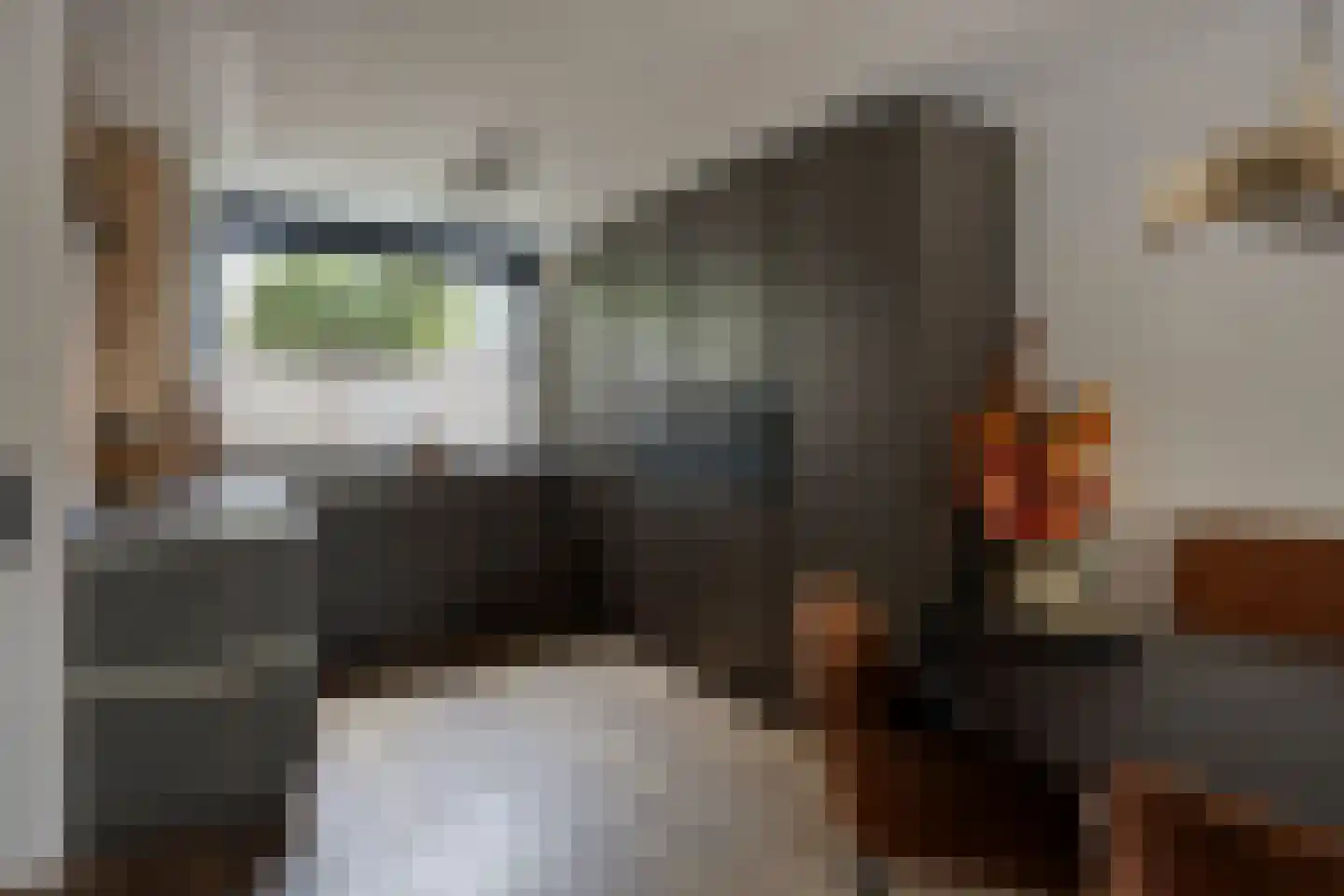 J.H. Isingserf 43 Soest thumbnail 4