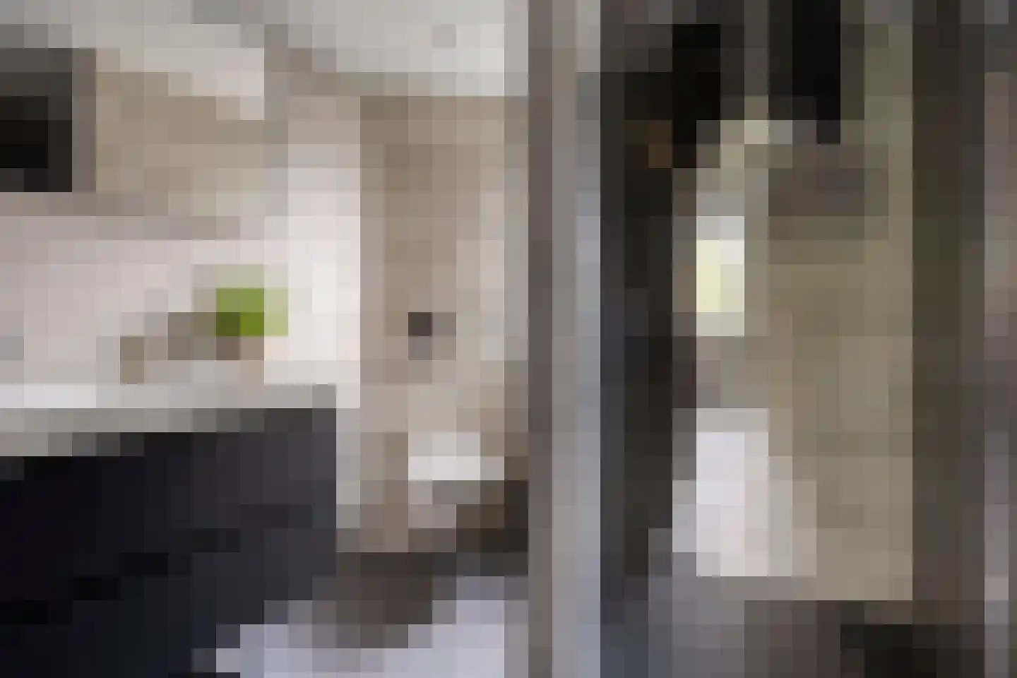 J.H. Isingserf 43 Soest thumbnail 8