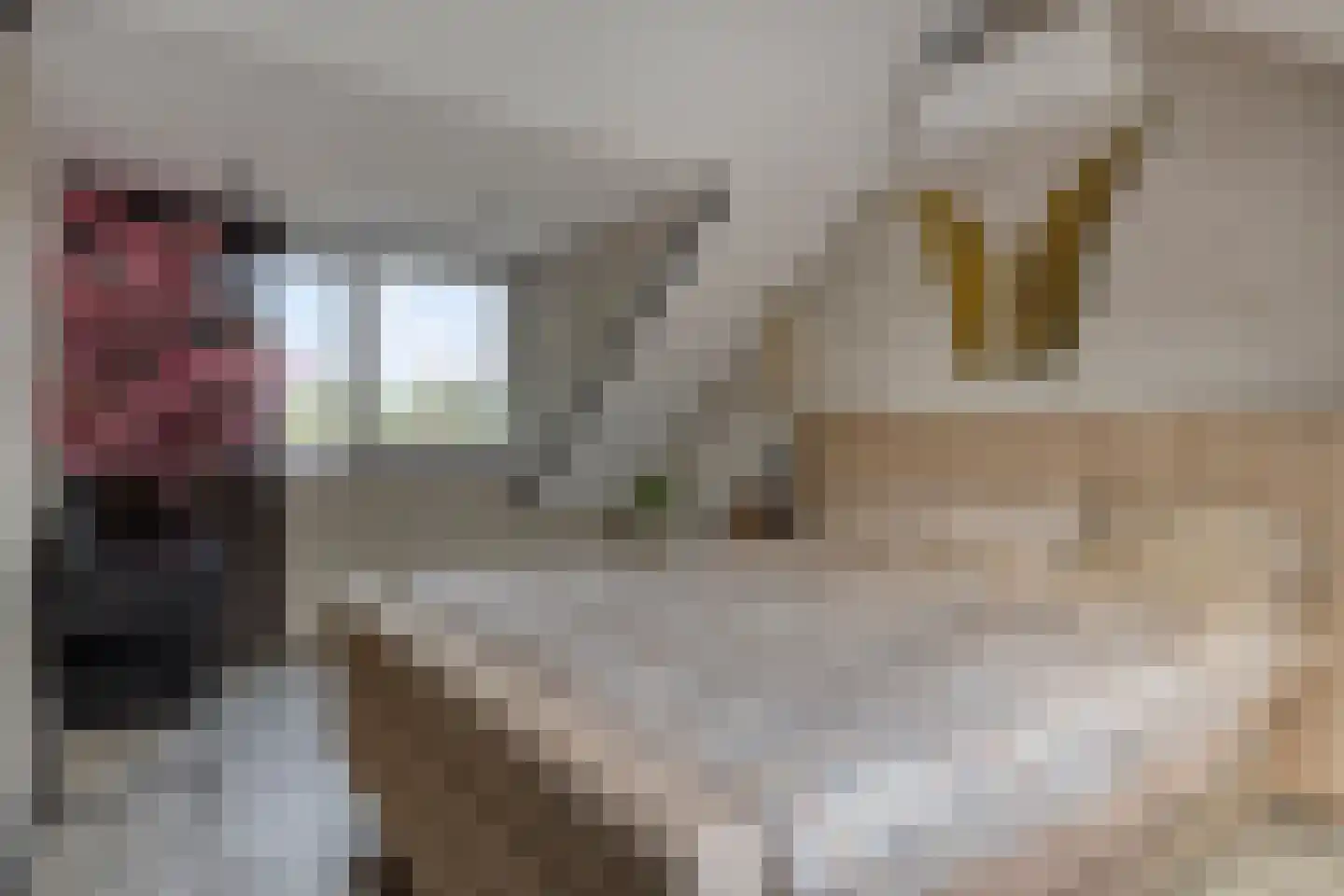J.H. Isingserf 43 Soest thumbnail 9
