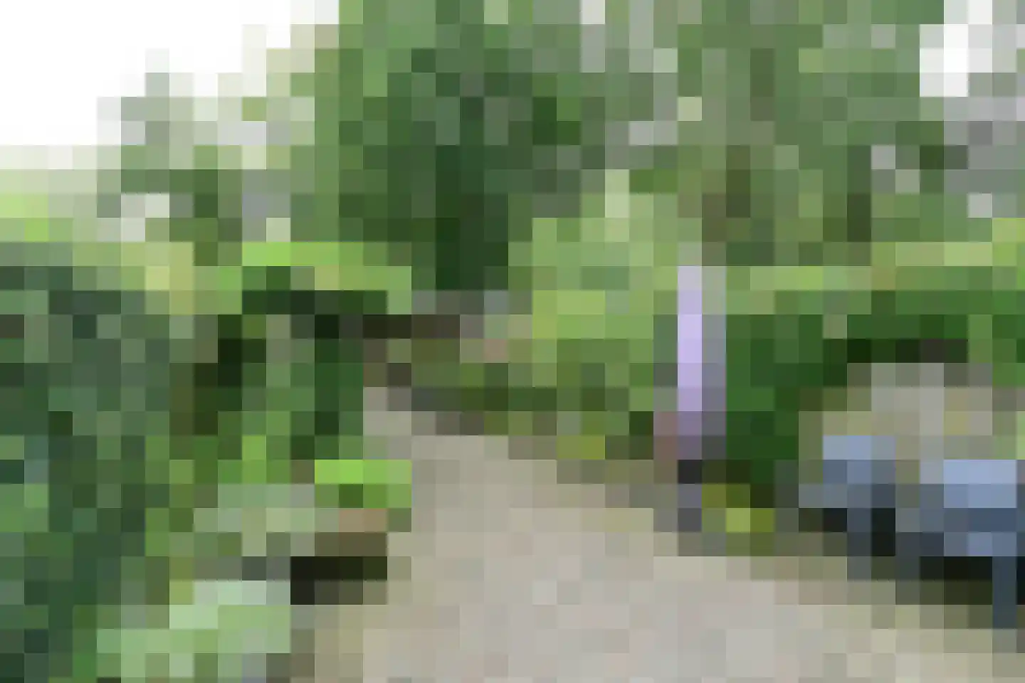 J.H. Isingserf 59 Soest thumbnail 4