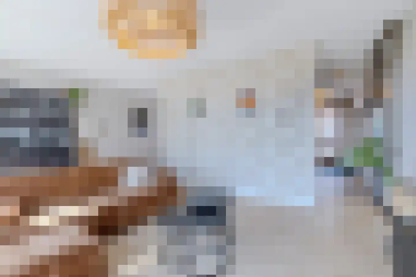 J.H. Kielastraat 27 Driebruggen thumbnail 17