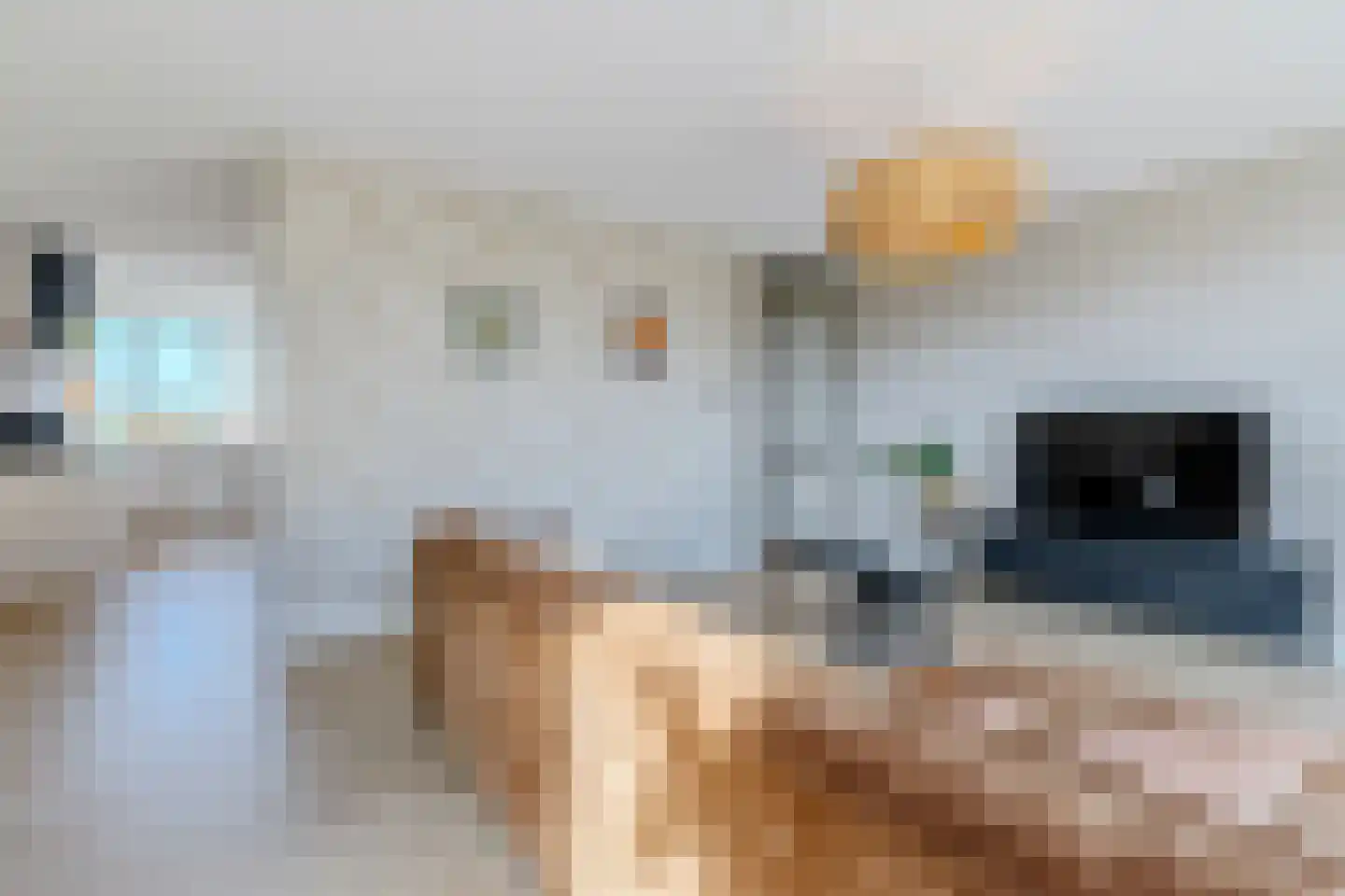J.H. Kielastraat 27 Driebruggen thumbnail 19