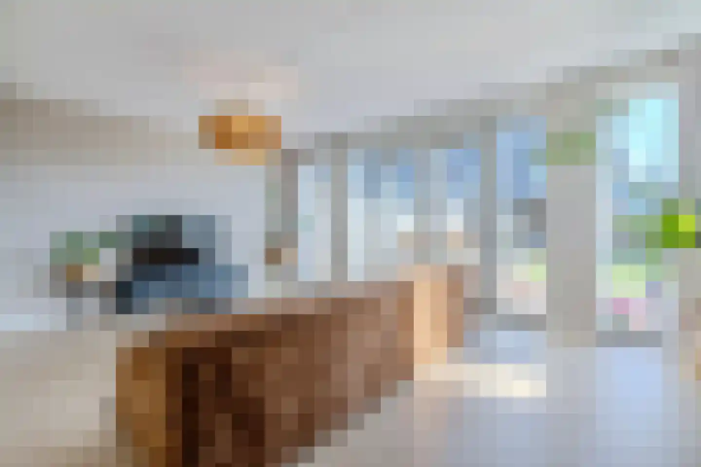 J.H. Kielastraat 27 Driebruggen thumbnail 20